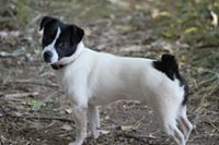 Lina Clemencia  Muñoz Osorio