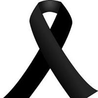 Elsa Yolanda  Alvarado Bajaña