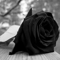 Eve  Thu Nenitha Lokis