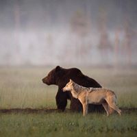 Carlos  Blandón Ortega