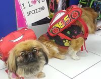 Patricks  MochilasyBolsos