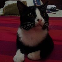 María Landeta Guerrero