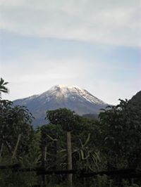 Rafael Antonio Sanchez Bolivar