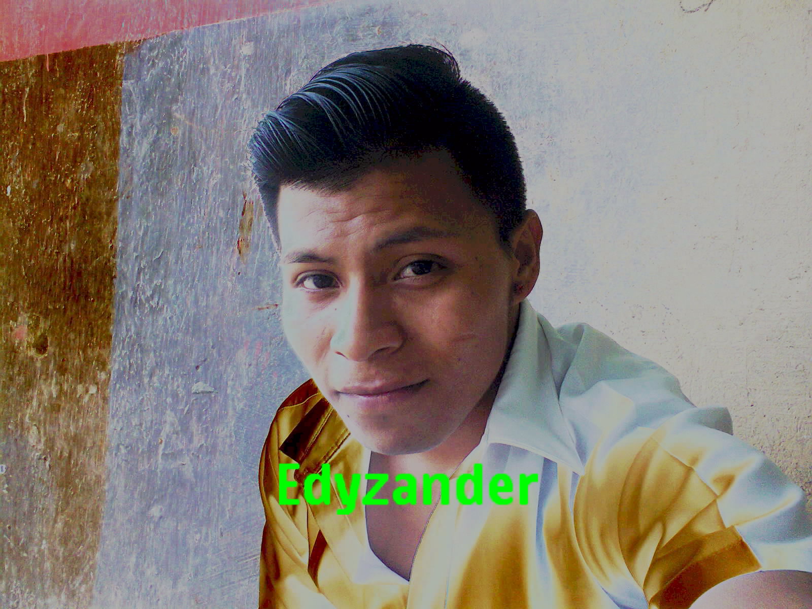 Edison diogenes cerda licuy