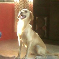 Heidy  Ramos Castaño