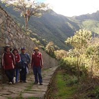 David  Quispe Jimenez