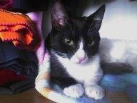 Lucía Pulido Ardila