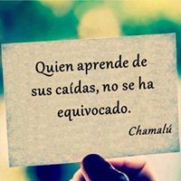 Mario Andres  Flores Puche