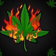 Kevin Andres Luaiza Menez Menesz