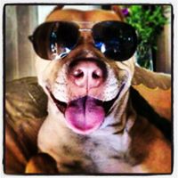 Diana Figueroa Montanares