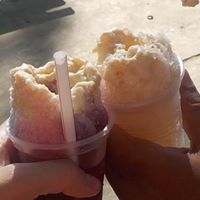 Carolina  Montoya Uribe