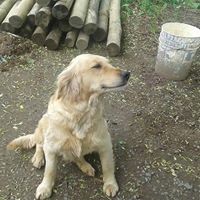 Luisa Miriam Aedo Ortiz