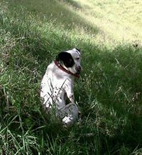 Miguel Mauricio Henao Forero