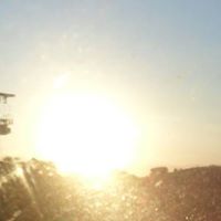 Halerrandro  Tavares