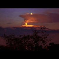 Jorge Mario  Hoyos Herrera