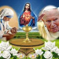 John Brayner  Ibarra Marin