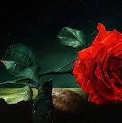 Giselma Cristina  Piva 