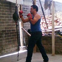 Ferbeatle  Maccarney