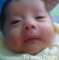 Priinczshiita  Liily