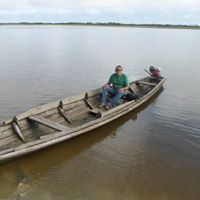 Ariovaldo  Ferreira Vasconcelos