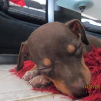 Heimy Camila  Perez Rojas