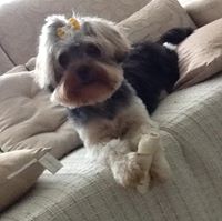 Heloisa Helena  de Paula