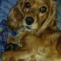 Margarita Rosa  Zapata Jimenez