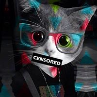 Nilton  Hernandez Piña