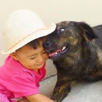 Carlos Eduardo  Poma Cisneros