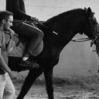 José Ricardo  Ribeiro