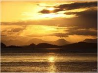 Marciliof  Da Costa Pereira