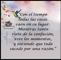 Laura  Valladares Campos