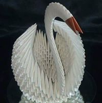 Jairo  Cardona Montealegre