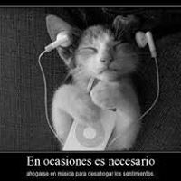 Monica  Moreira Berruz