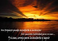 Juan Carlos Eliseo  Sanchez