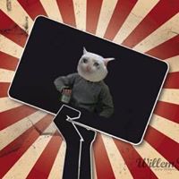 Jonnathan Fabricio Polo Rogel