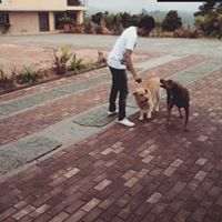 Brayan  Villegas Builes