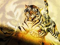 Felipe  Zuñiga Escobar