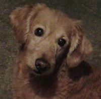 Marcia  Rogeria Moraes Miranda