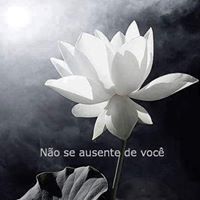 Barbara Guilhermina  Guimaraes Raio