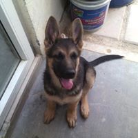 Claudia  Flores Ramirez