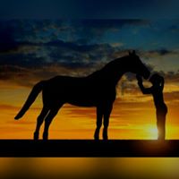 Maria Cristina  Galarza Castro