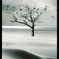 Cèsar  Castelblanco