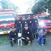 Stiven Andres Diaz Saenz