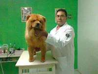 Jose Julio  Fernandes