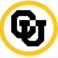 Juan Manuel  Arellano Cedillo