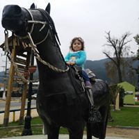 José Fco  González Vivanco