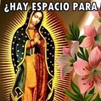 Maria del Carmen  Flores Tovar