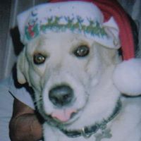 Elisa  Garcia Rodriguez