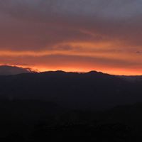 Francisco Luis  Murillo Florez